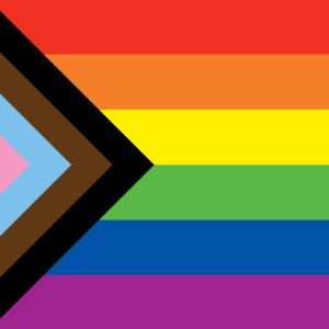 Progress Pride flag, 25 pcs SALE