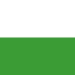 Ridderkerk Gemeentevlag