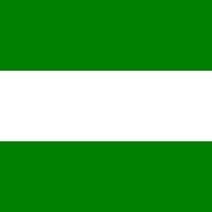 Rotterdam Gemeentevlag