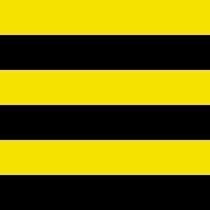 Schiedam Gemeentevlag