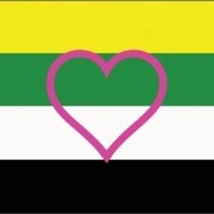 Skoliosexual flag