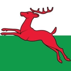 Smallingerland Gemeentevlag