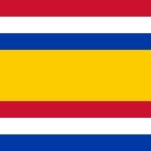 Tholen Gemeentevlag