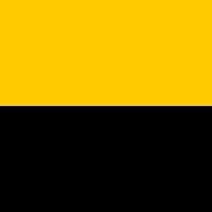 Tiel Gemeentevlag