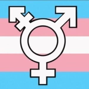 Transgender New Pride Symbols flag