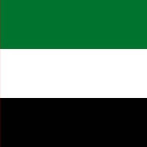 UAE United Arab Emirates flag