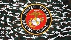 USA Marine Camouflage flag