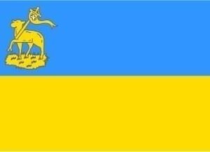 Velsen Gemeentevlag