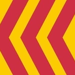 Voorst Gemeentevlag