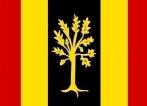 Waalwijk Gemeentevlag