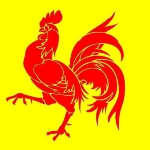 Wallonie Wallonia Waals Gewest flag