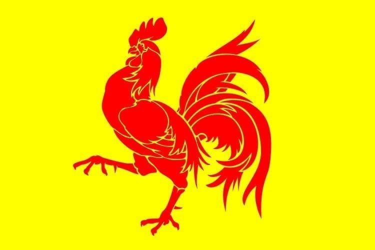 Wallonie Wallonia Waals Gewest flag