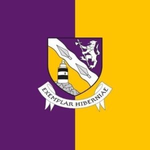 Wexford county vlag