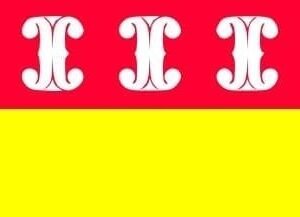 Wijk bij Duurstede Gemeentevlag