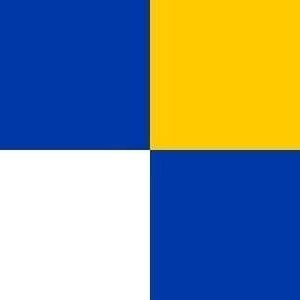 Winterswijk Gemeentevlag