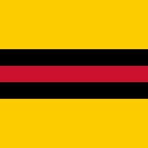 Woudenberg Gemeentevlag
