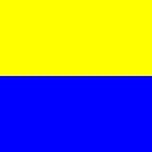 Zandvoort Gemeentevlag