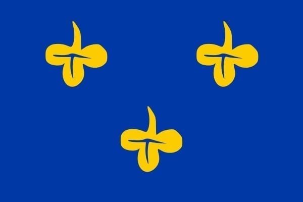Zoeterwoude Gemeentevlag
