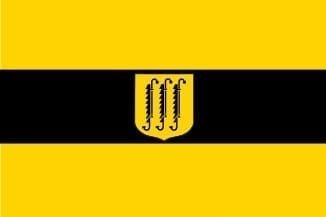 Zwijndrecht Gemeentevlag